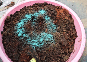 Fungicide in soil