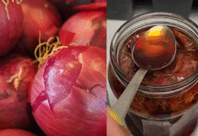 Onion peel fertilizer for plants