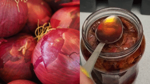 Onion peel fertilizer for plants