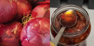 Onion peel fertilizer for plants