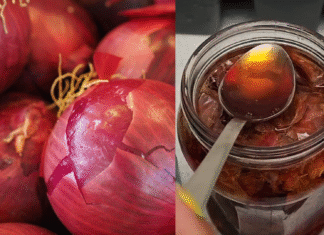 Onion peel fertilizer for plants