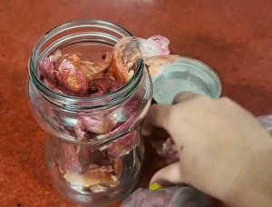 Onion peels in glass container