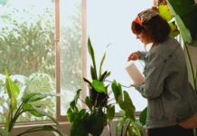 How to Water Indoor Plants Correctly: 7 Pro Tips You Must Know How to water Indoor plants