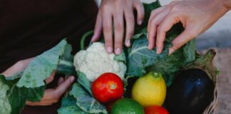 Vegetables to grow in winter