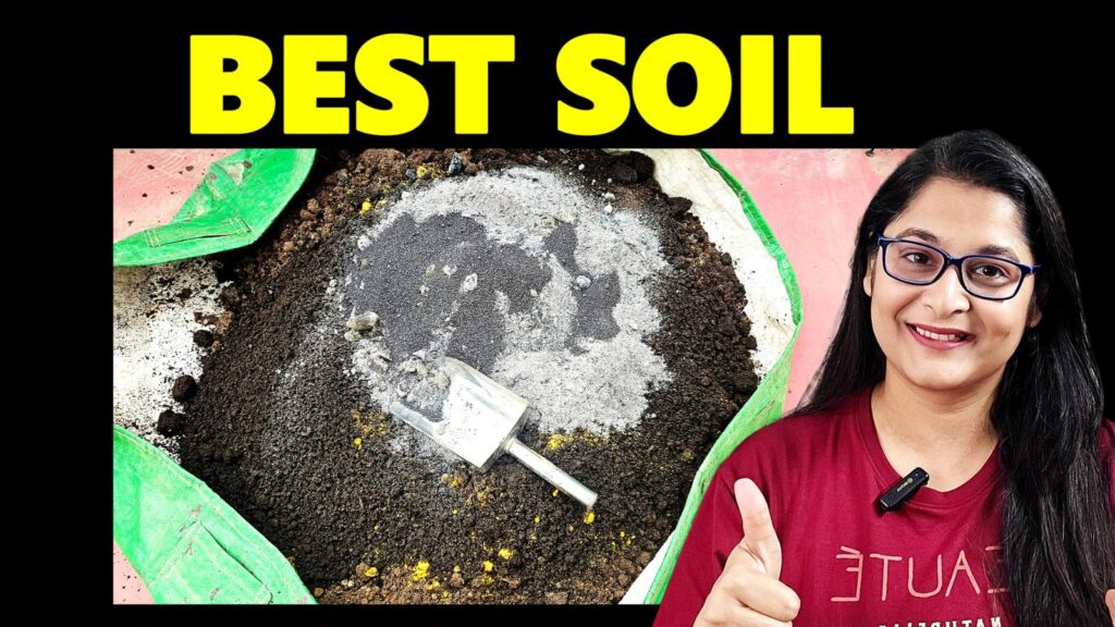 soil mixture for winter plants thumbnail