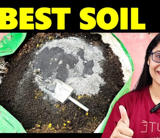 soil mixture for winter plants thumbnail