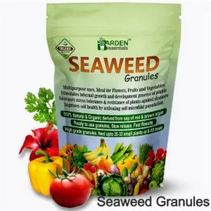 seaweed granules