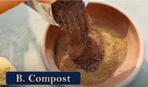 Compost
