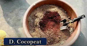 Coco peat