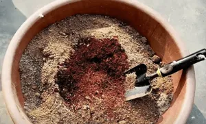 Coco peat