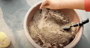 neem cake powder