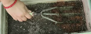 use trowel to make line