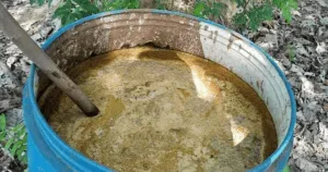 cow dung liquid fertilizer