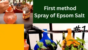 spray of epsom salt