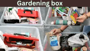 gardening box