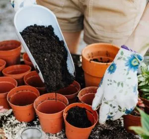 soil mix
