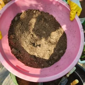 Soil mix