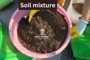 Soil mixture