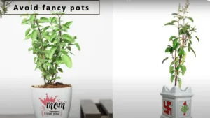 avoid fancy pots