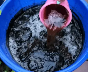 cow dung liquid fertilizer
