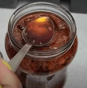 onion peel liquid fertilizer