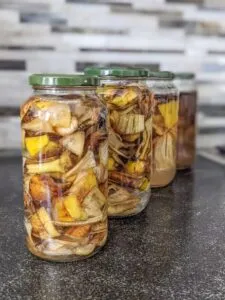 Banana Peel Liquid Fertilizer