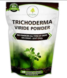 Trichoderma fungicide
